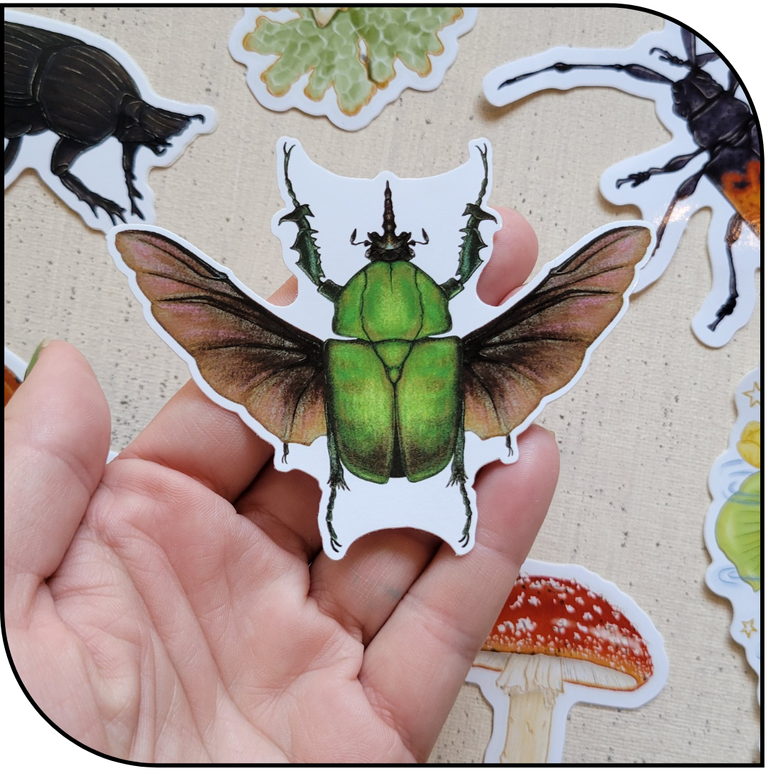 BEETLE STICKER