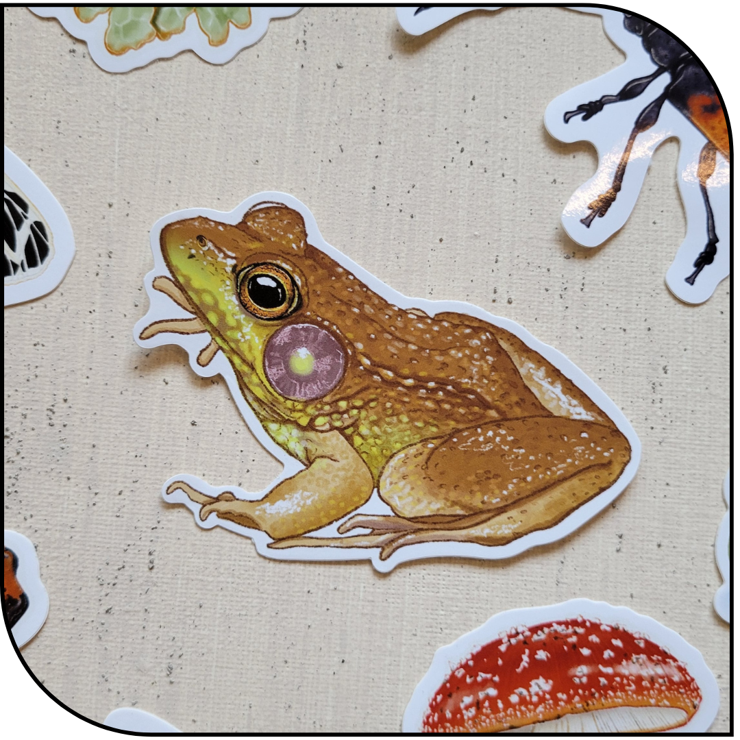 BRONZE FROG STICKER