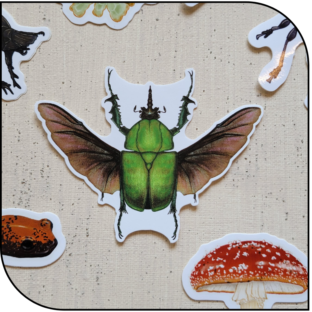 BEETLE STICKER