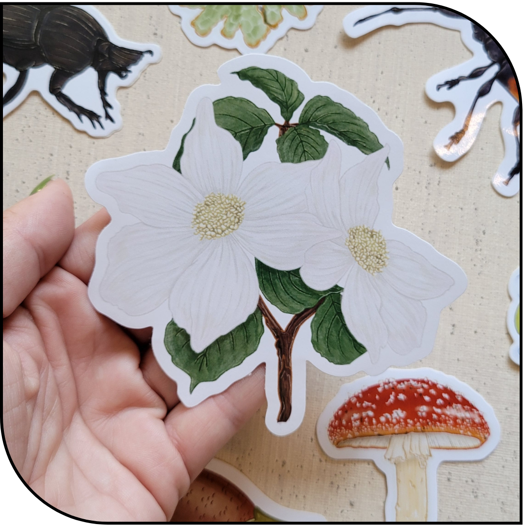 DOGWOOD STICKER