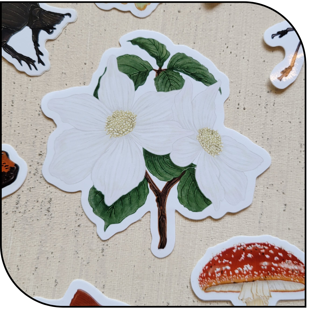 DOGWOOD STICKER