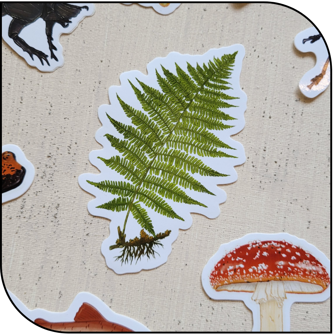 LADY FERN STICKER