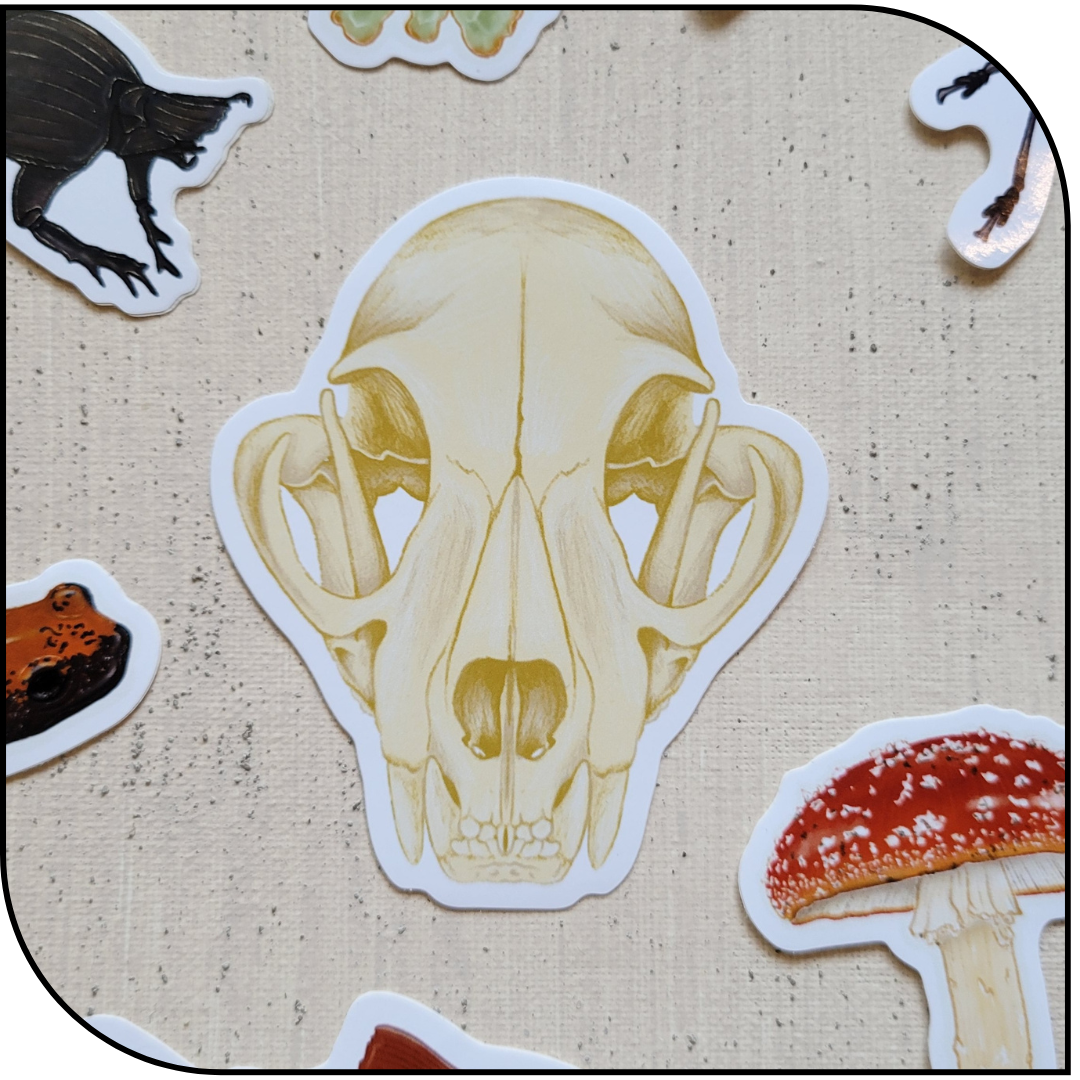 WOLF SKULL STICKER