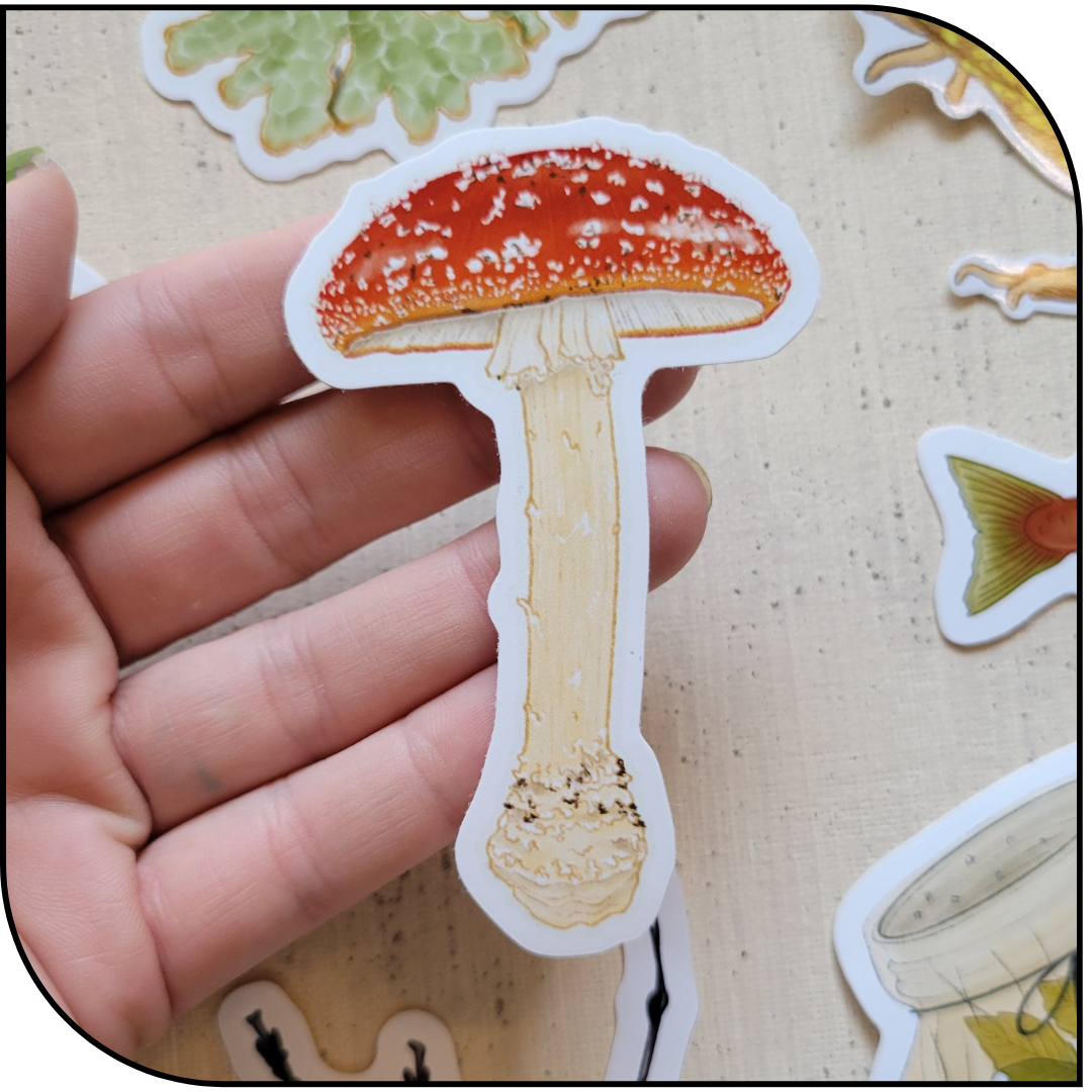 MUSHIE STICKER