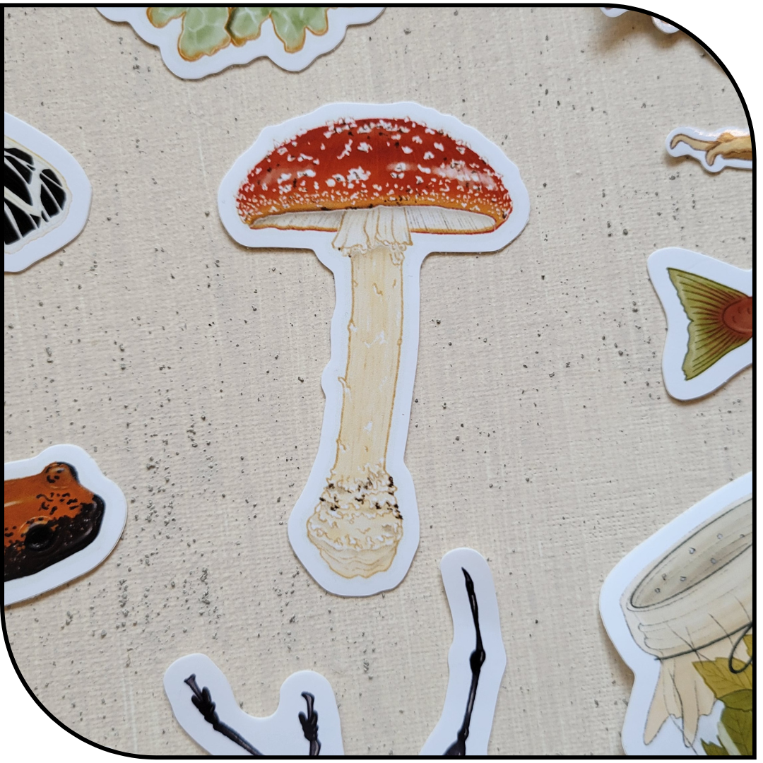 MUSHIE STICKER