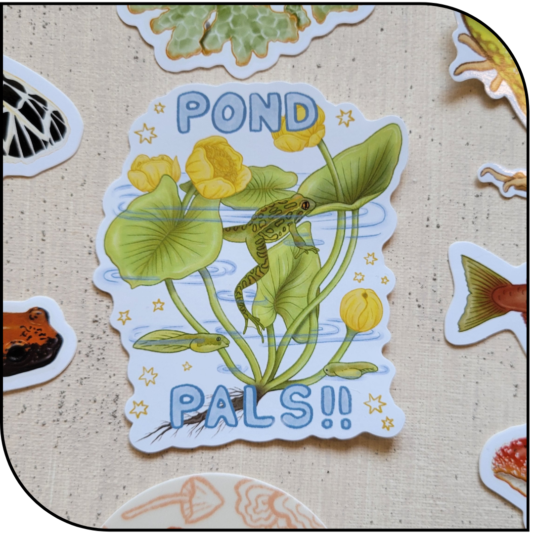 POND PALS STICKER