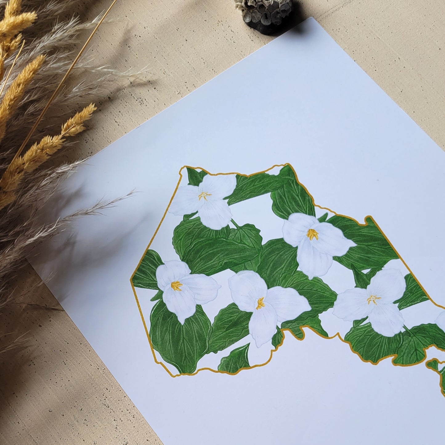 Ontario Provincal Art Prints