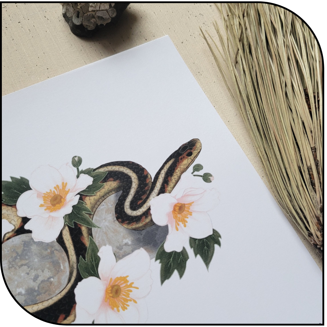 LUNAR GARTER SNAKE