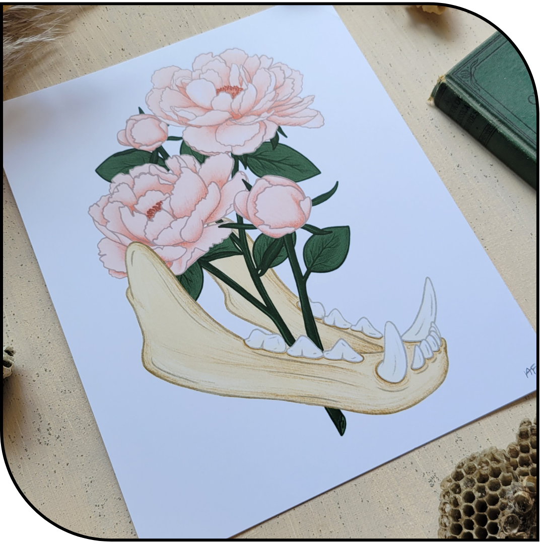 Jaw Art Print