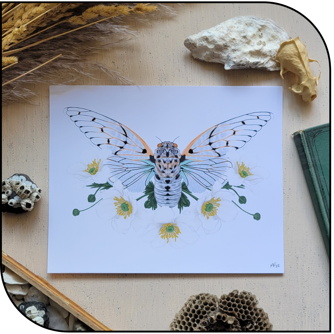 Cicada Art Print