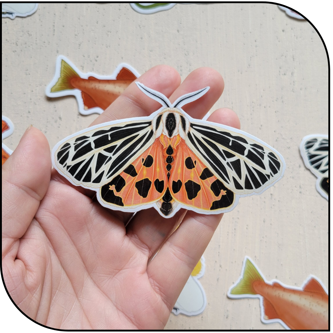 Tiger Moth Sticker