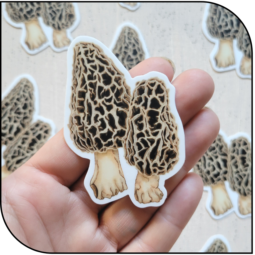 Morel Sticker