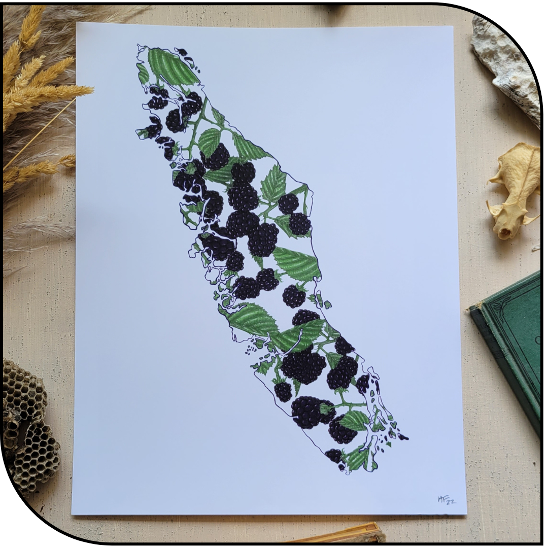 Vancouver Island, Bc, Canada Provincial Art Print