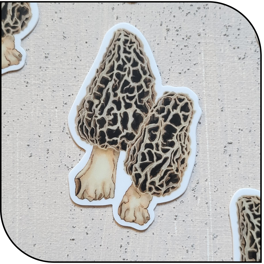 Morel Sticker