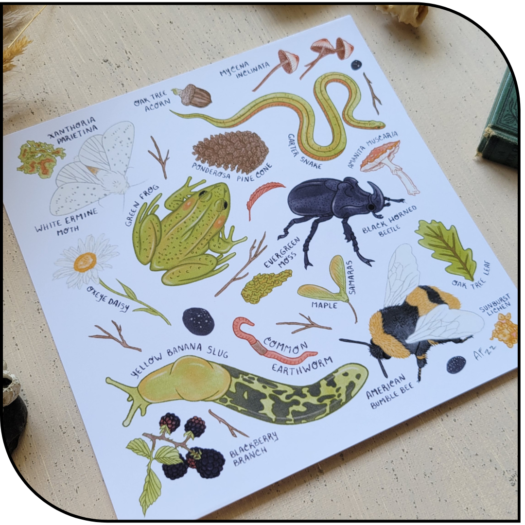 Forest Floor Art Print