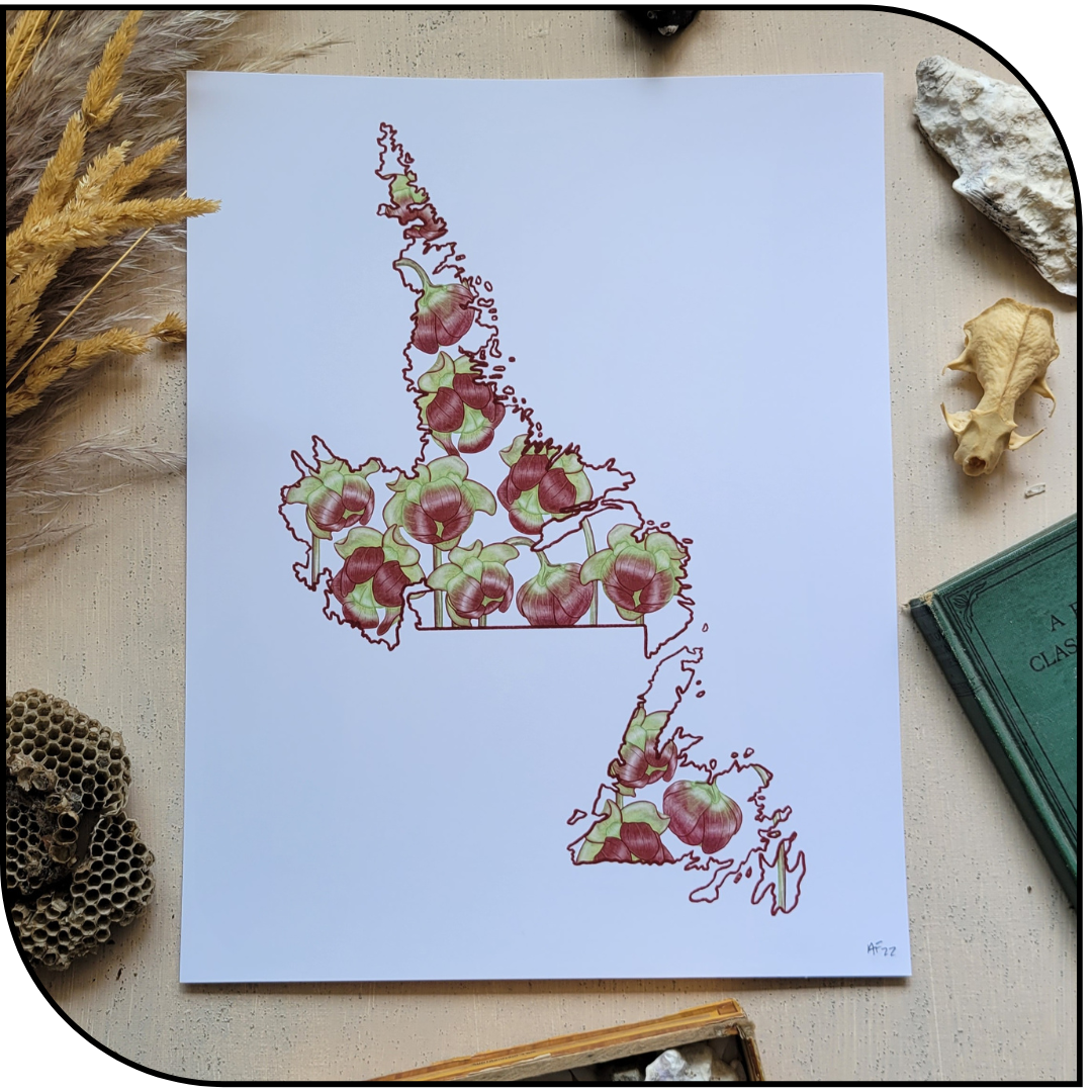 Newfoundland and Laborador Canada Provincial Art Print