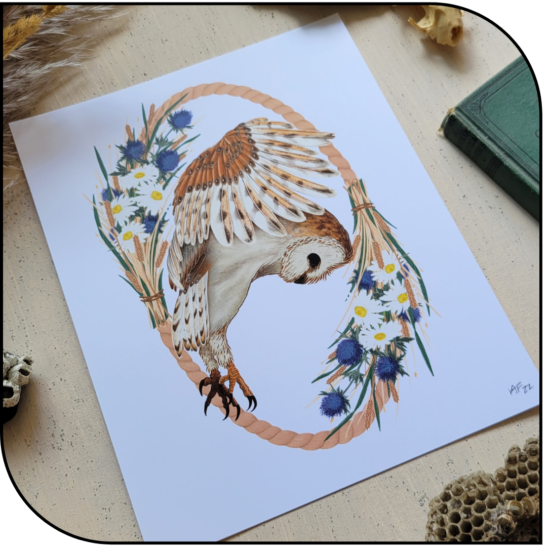 Owl Art Print