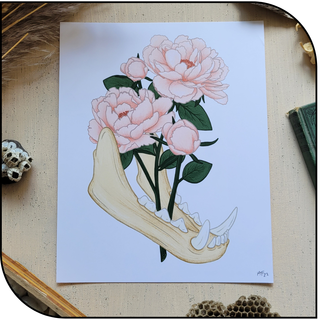 Jaw Art Print