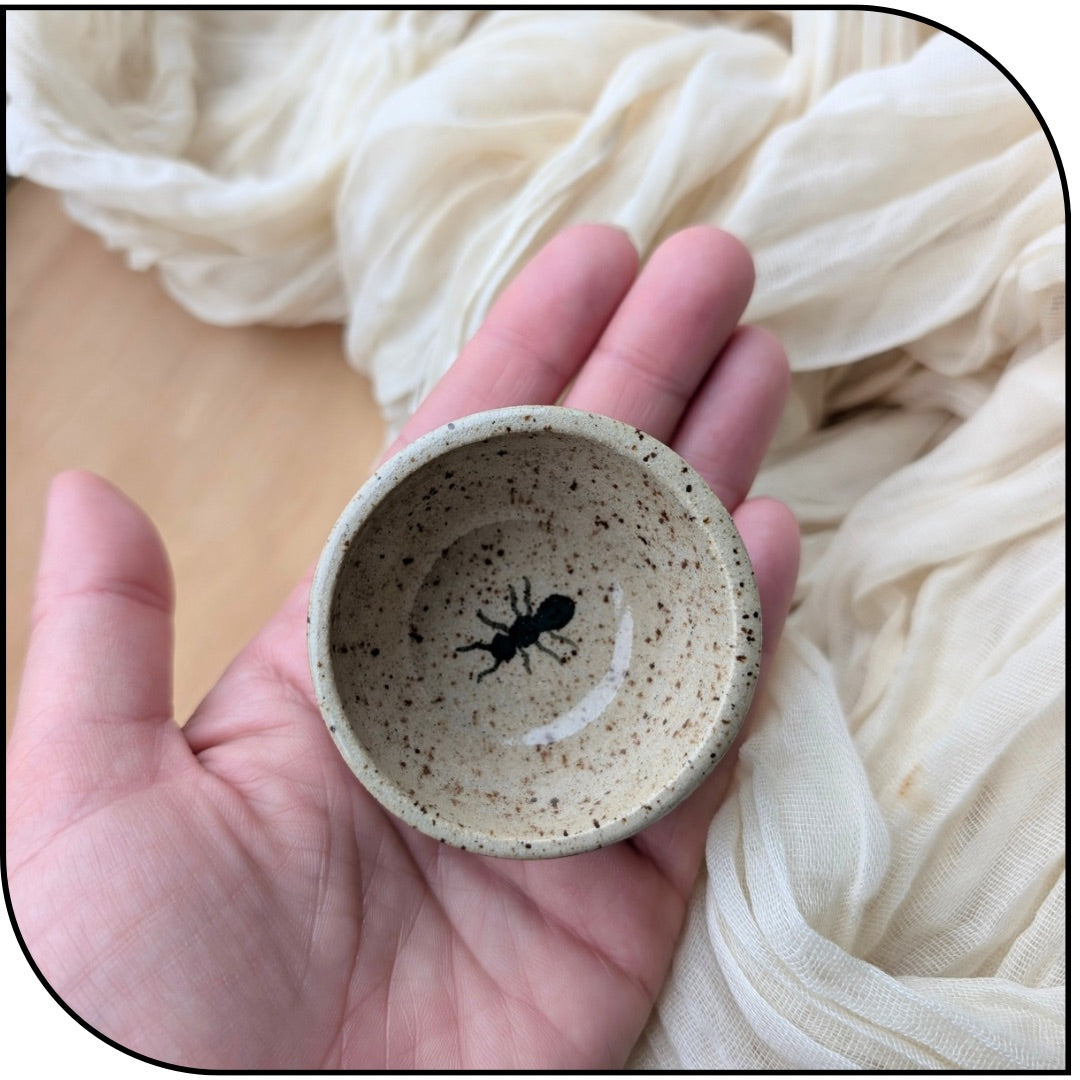 Ceramic Mini Ant Bowl