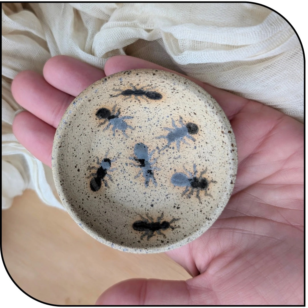 Ceramic Mini Ant Bowl - Decorative, not food safe