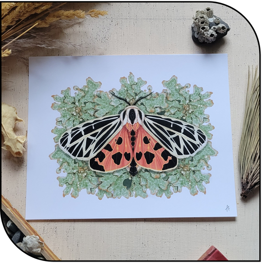 HARNESSED TIGER MOTH PRINT