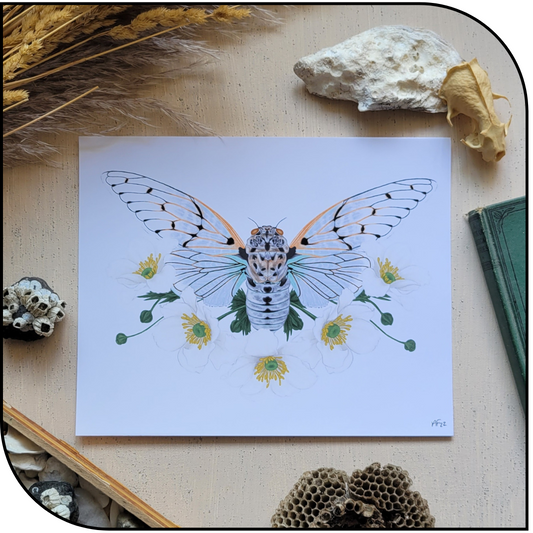 Cicada Art Print