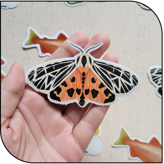 Tiger Moth Sticker