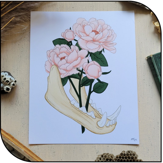 Jaw Art Print